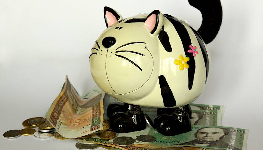 Sėkmė ir finansinė laisvė – per laiką užauginami įgūdžiai