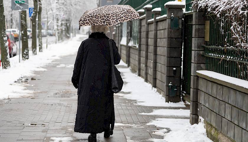 2023 m. pensijų fondų rezultatai „geriausi per dešimtmetį“, ko laukti šiemet