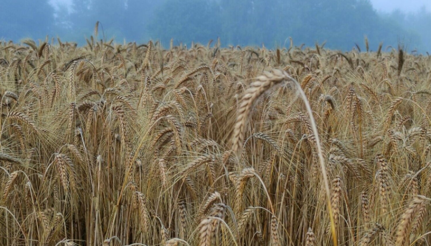 Baltijos birža: „Akola Group“ akcijas vertina 25% brangiau