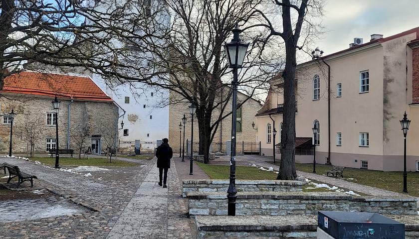 Į kokias akcijas investavęs turtingiausias Talino biržos žmogus